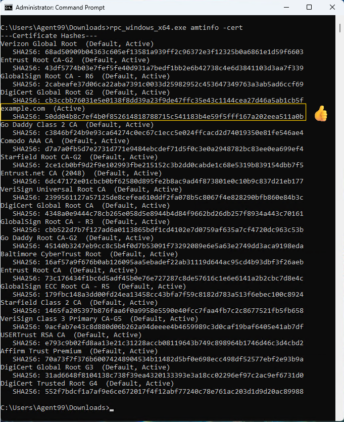 Figure 3: Checking the Custom Certificate  in the AMT Device